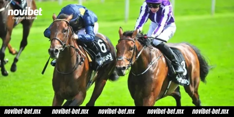 Experience the authentic Royal Ascot in 2026