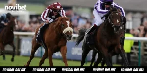 horse racing